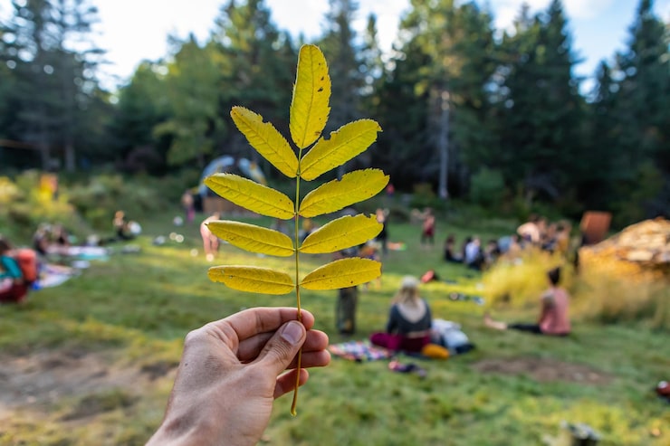 hilltop camp lembang