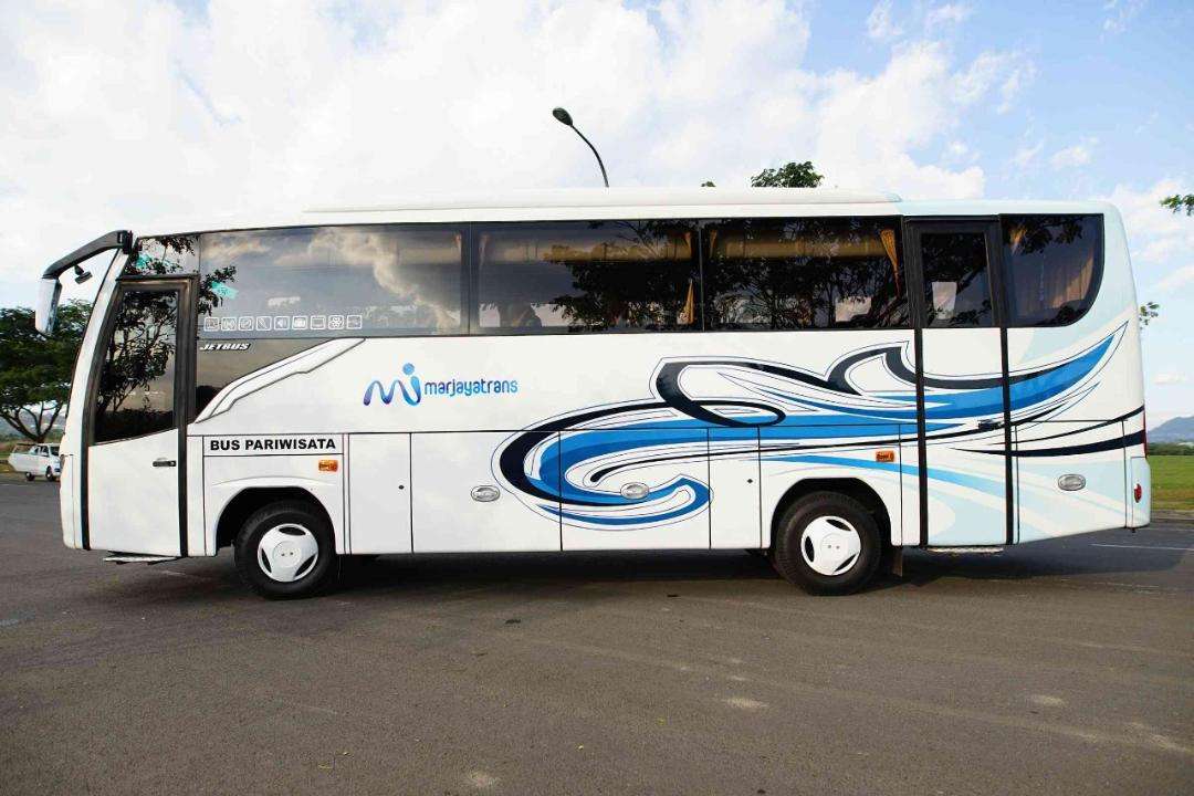 medium bus